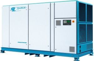 Винтовой компрессор  TAURUS 400 W 10