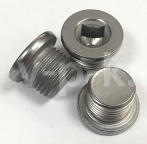 R 024W115II Пробка слива масла W115II для w115-10 (10 бар)