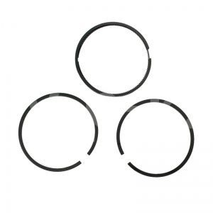 4291080000 Комплект поршневых колец высокого давления фото