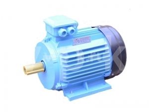 Электродвигатель АИР 112 для компрессора АСО-Бежецк фото