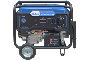 Бензиновый генератор ТСС SGG 8000EHNA в кожухе МК-1.1 034039 синхронный фото