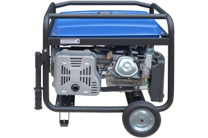 Бензиновый генератор ТСС SGG 8000EHNA в кожухе МК-1.1 034039 синхронный фото