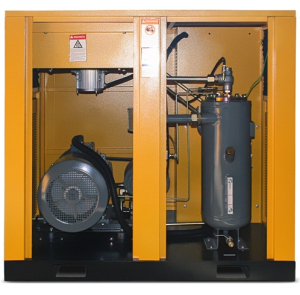 Винтовой компрессор Berg ВК-30Р-Е 12 (IP54) электрический фото