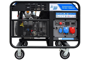 Бензиновый генератор ТСС SGG 17000EH3A 190175 синхронный фото