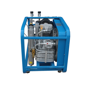 Поршневой компрессор Frosp КВД 300/300 Honda GX390 фото