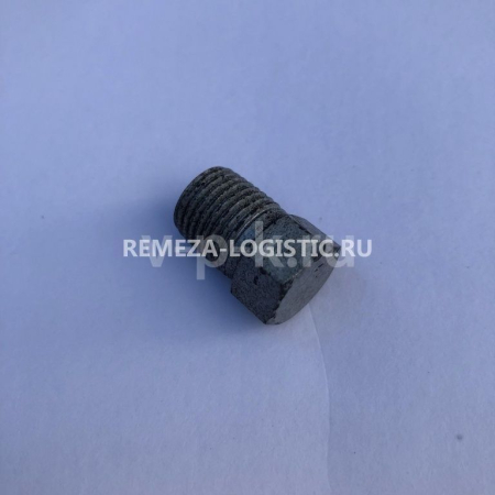 R 21167003 (21168001) Пробка залива масла Z3/4" LT100 для lt100